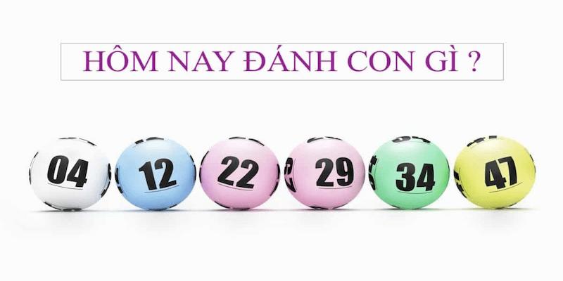 Bí kíp nuôi dàn lô 36