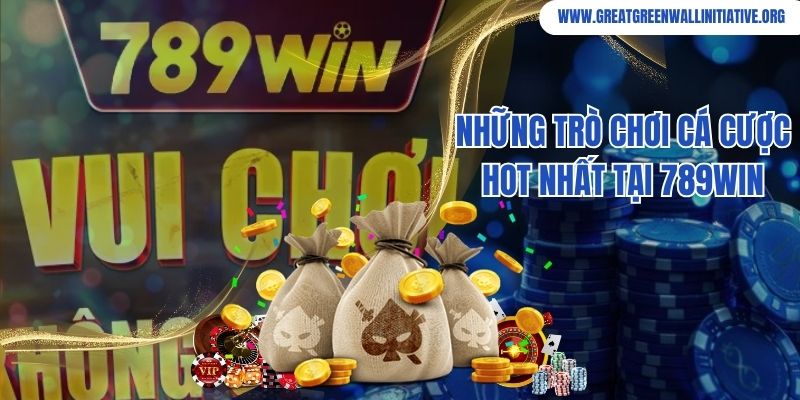 789Win - Thương Hiệu Giải Trí Xanh Chín, Thưởng Cao 5 Những trò chơi cá cược hot hit do nhà cái cung cấp