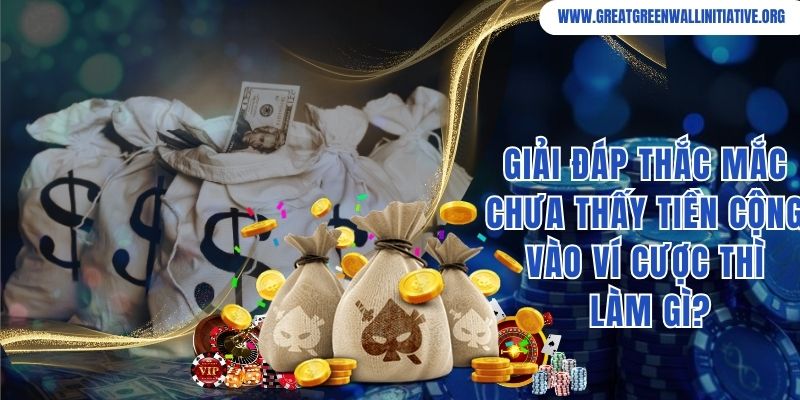 V8Club - Sân Chơi Trực Tuyến Chất Lượng, Thượng Lưu Hàng Đầu 5 Giải đáp thắc mắc chưa thấy tiền cộng vào ví cược thì làm gì
