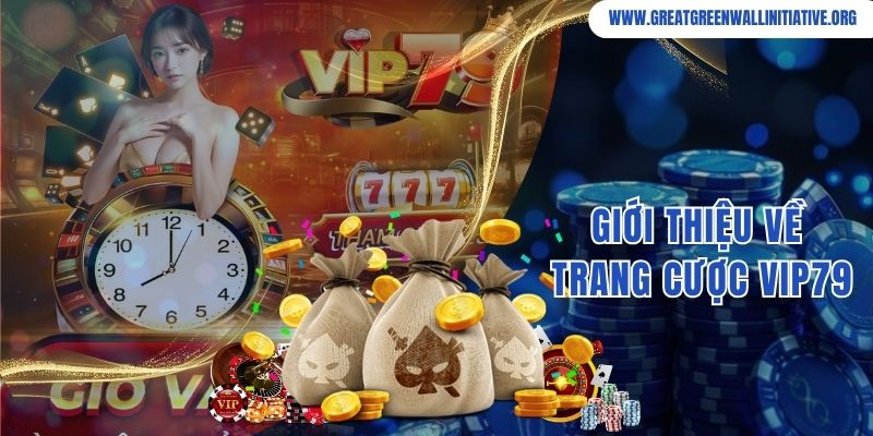 Giới thiệu về trang cược Vip79 uy tín hàng đầu hiện nay 