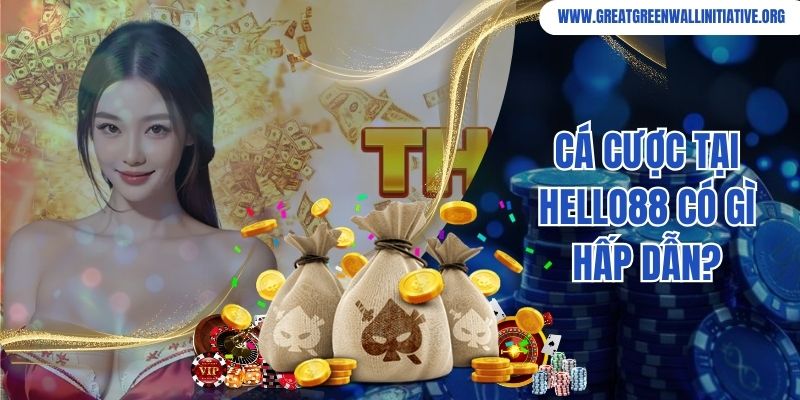 Hello88 - Nhà Cái Hợp Pháp, An Toàn Top 1 Châu Á 1 Hello88 - Các Câu Hỏi Thường Xuyên Gặp Về Nhà Cái