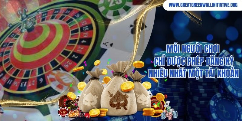 Mỗi người chơi chỉ được phép đăng ký nhiều nhất một tài khoản 