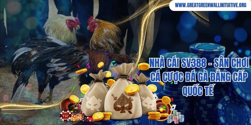 Nhà Cái SV388 - Nhà Cái Đà gà Hơn 10 Triệu Hội Viên 8 Nhà Cái SV388 - Sân Chơi Cá Cược Đá Gà Đẳng Cấp Quốc Tế
