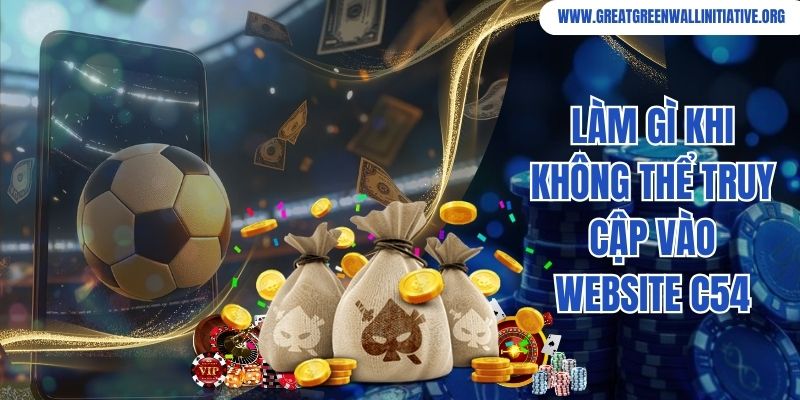 Làm gì khi không thể truy cập vào website C54