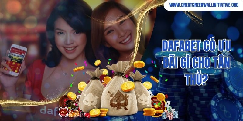 Dafabet - Nhà Cái Cá Cược Online Đỉnh Cao Tại Châu Á 5 Dafabet có ưu đãi gì cho tân thủ?