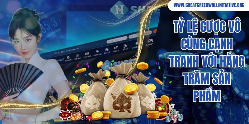 Tỷ lệ cược vô cùng cạnh tranh với hàng trăm sản phẩm
