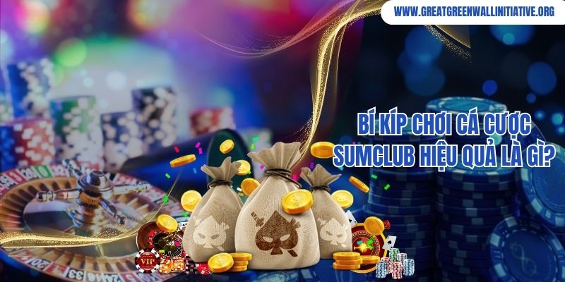 Bí kíp chơi cá cược Sumclub hiệu quả là gì?